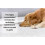 Pro-Kleen (15L, Ocean Breeze) ProKleen Carpet Deep Cleaning Shampoo Solution 3
