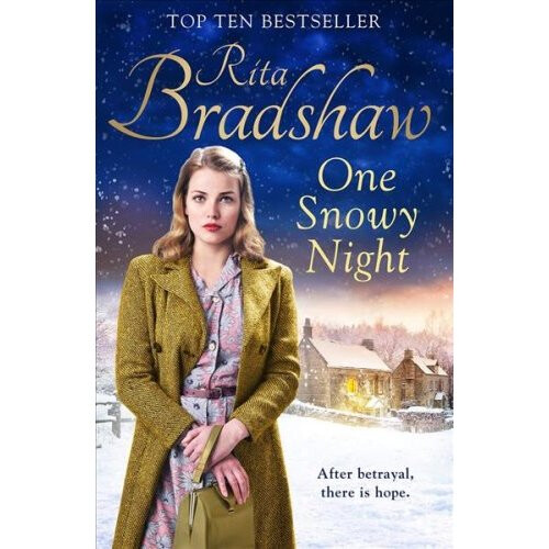 One Snowy Night