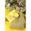 Beebombs Native Wildflower Seedballs 5