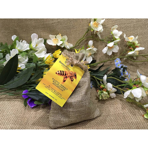 Beebombs Native Wildflower Seedballs 1