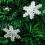 Homcom Homcom 3ft Fibre Optic Artificial Christmas Tree With Snowflake Lights 8