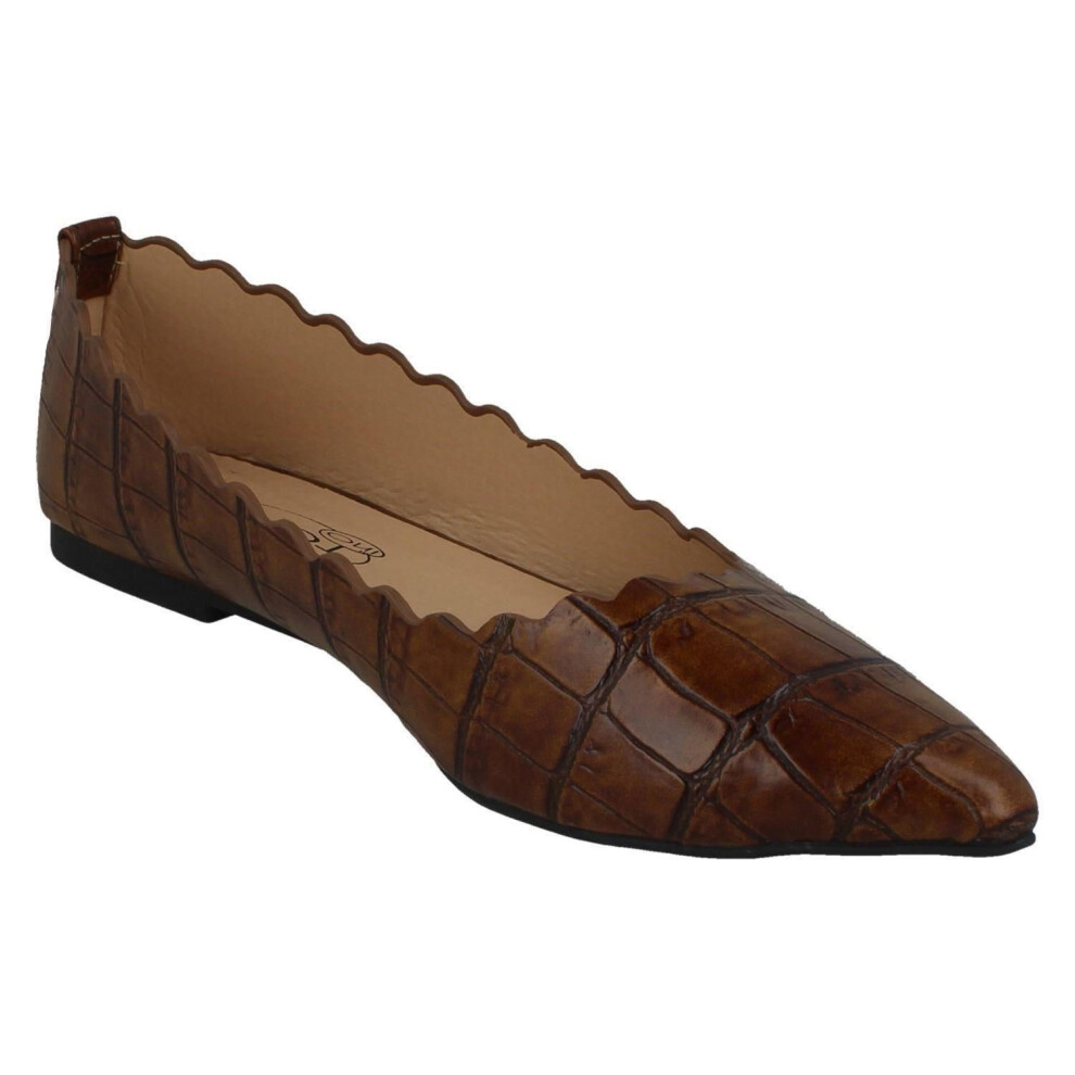 (3 UK, Dark Tan) Spot On Womens/Ladies Crocodile Scalloped Ballerinas-image-OPC-P5GM8KP-NEW