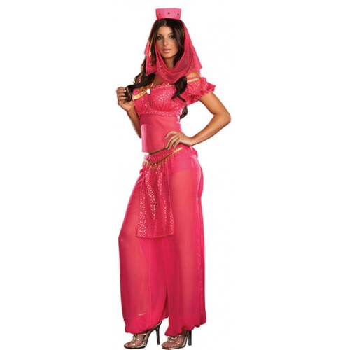 Ladies Pink Princess Jasmine Costume on OnBuy