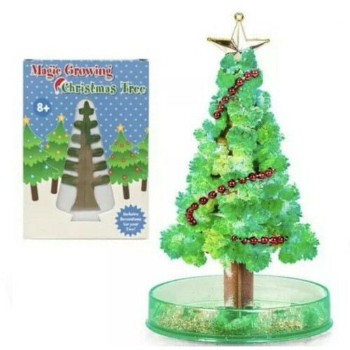 Magic Grow-Your-Own Christmas Tree | Stocking Filler Idea 1
