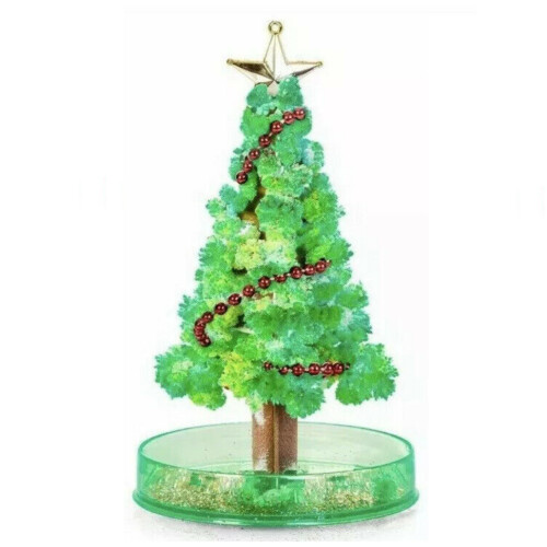 Magic Grow-Your-Own Christmas Tree | Stocking Filler Idea