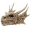 Collectable Dragon Skull 1