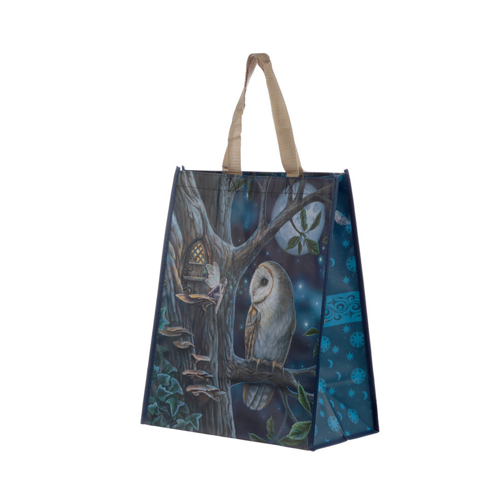 Fairy Tales Owl and Fairy Lisa Parker Reusable Shopping Bag
