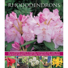 Rhododendrons by Lin Hawthorne