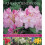Rhododendrons by Lin Hawthorne 1
