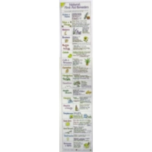 Natural First Aid Remedies Chart by Liz Cook
