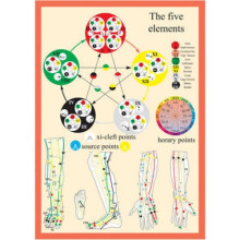 Five Elements in Acupuncture  A4 by Jan Van Baarle
