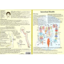 Intestinal Health  Double Sided A4 by Jan Van Baarle