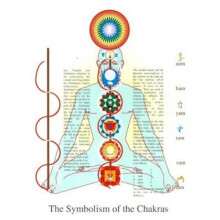 Symbolism of the Chakras by Jan Van Baarle