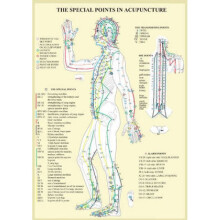 Special Points in Acupunture  A4 by Jan Van Baarle