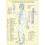 Special Points in Acupunture  A4 by Jan Van Baarle 1