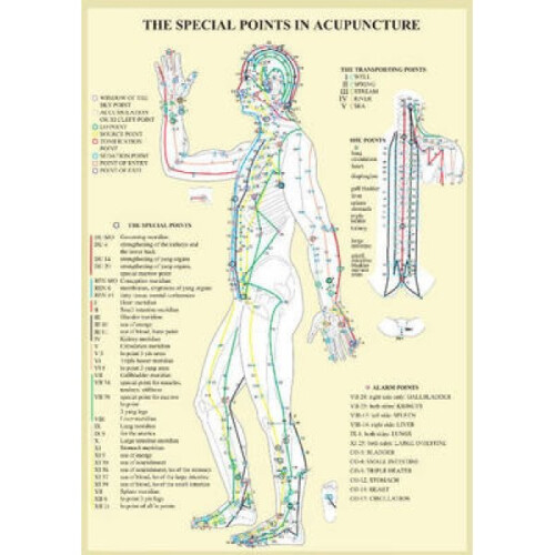 Special Points in Acupunture  A4 by Jan Van Baarle