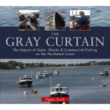 Gray Curtain by Peter Trull
