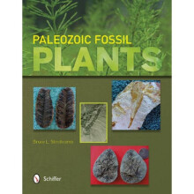 Paleozoic Fsil Plants by Bruce L Stinchcomb