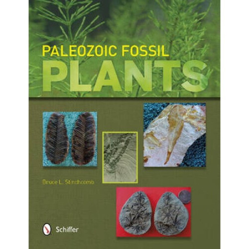 Paleozoic Fsil Plants by Bruce L Stinchcomb