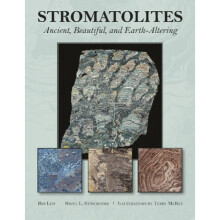 Stromatolites Ancient Beautiful and EarthAltering by Bob Leis & Bruce L Stinchcomb & Illustrated by