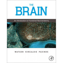 The Brain  An Introduction to Functional Neuroanatomy by Charles Watson & Matthew Kirkcaldie & Georg