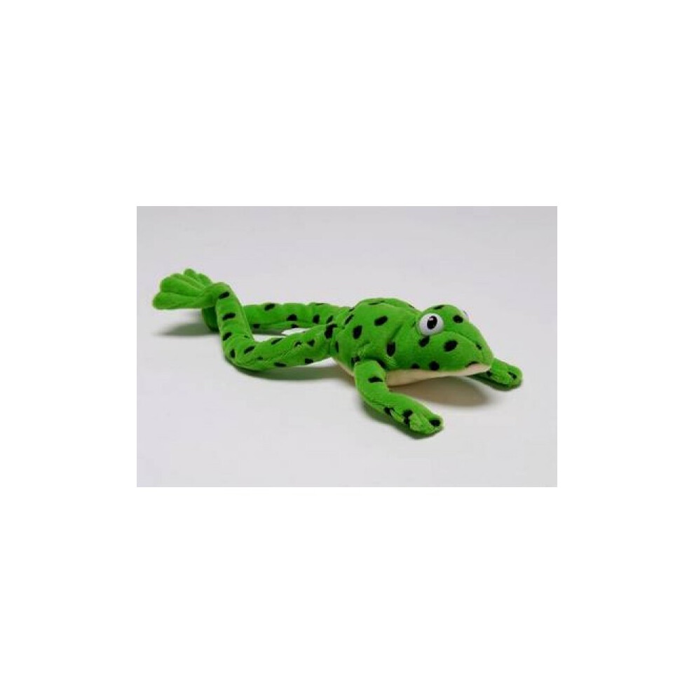 Read Write Inc. Fred the Frog  Toy by Ruth Miskin