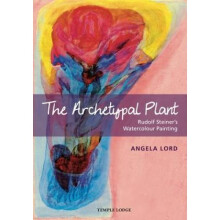 The Archetypal Plant Rudolf Steiners Watercolour Painting by Angela Lord