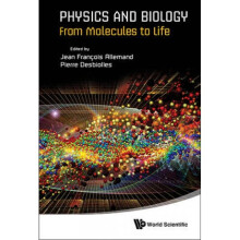 Physics And Biology From Molecules To Life by Edited by Jean Francois Allemand & Edited by Pierre De
