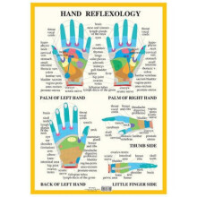 Hand Reflexology