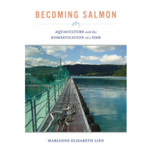 Becoming Salmon Aquaculture and the Domestication of a Fish by Marianne Elisabeth Lien