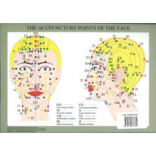Acupuncture Points of the Face  A4 by Jan Baarle