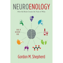 Neuroenology by Gordon M Sheperd