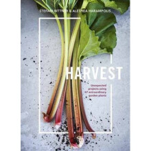 Harvest by Stefani Bittner