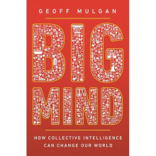 Big Mind