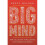 Big Mind 1