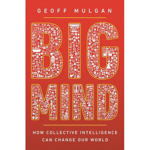 Big Mind