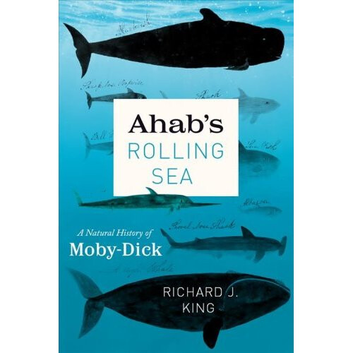 Ahab's Rolling Sea