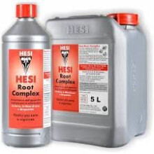 (1L) Hesi - Root Complex