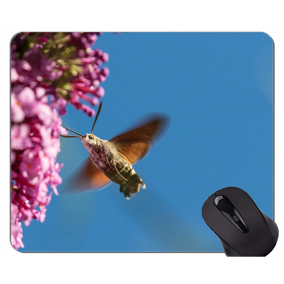 (220X180X3) Customized Rectangle Non Slip Rubber Mousepad,Hummingbird moth insect wing Mouse Mat