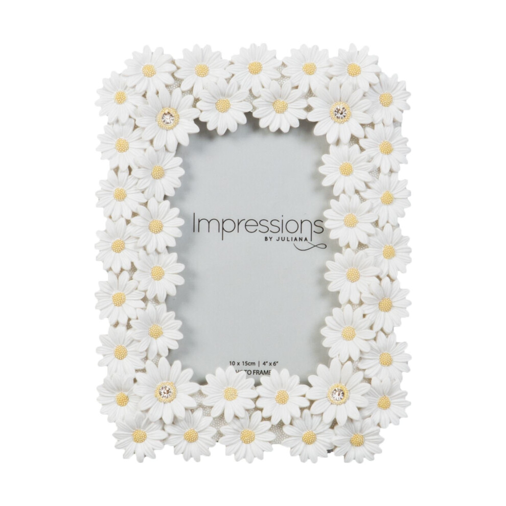 Impressions Floral Daisy Photo Frame - 4' x 6' - FR49846