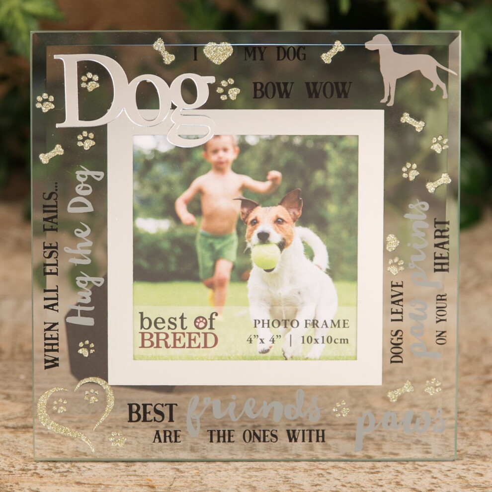 4' x 4' - Best of Breed Glass Photo Frame - Dog