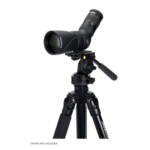 Celestron Celestron Hummingbird 9-27x56mm ED Angled Micro Spotting Scope Black 2