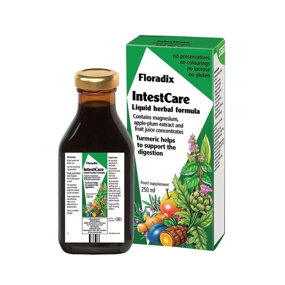 Photos - Vitamins & Minerals Salus Floradix Intestcare 250ml 