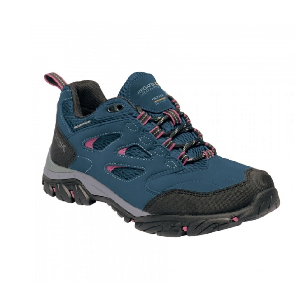 (7 UK, Moroccan Blue/Red Violet) Regatta Womens/Ladies Holcombe IEP Low Hiking Boots