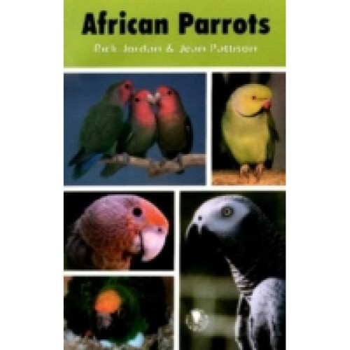 African Parrots by Rick Jordan