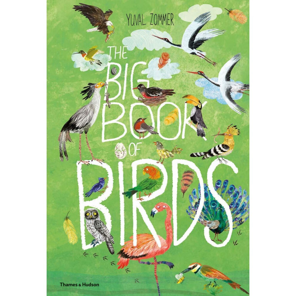 The Big Book of Birds by Yuval Zommer (Hardback Book) - Image 12