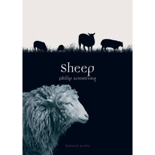 Sheep by Philip Armstrong
