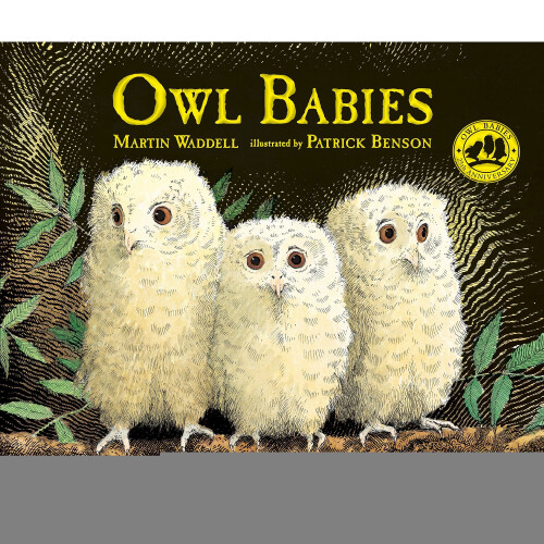 Owl Babies Hardcover – Import, 12 Sep 2017