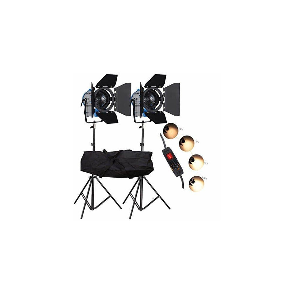 2x 300W Pro Fresnel Tungsten Halogen Video Dimmable Spotlights + Stands & Bag