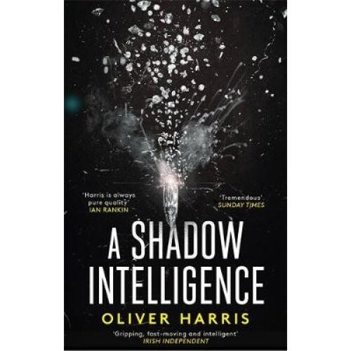 A Shadow Intelligence